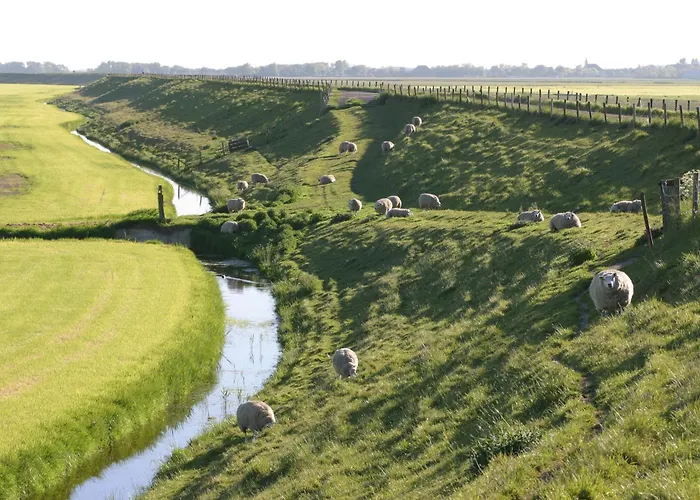 Hotelhuisjes Andijk