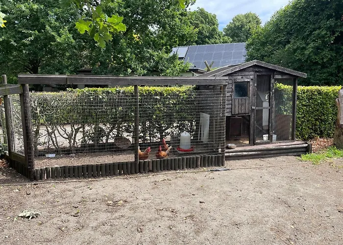 Family Farmhouse With Go-Karts