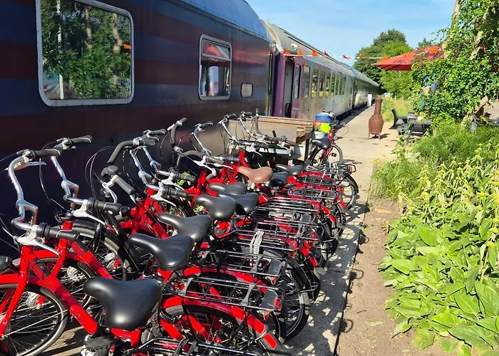 Train Lodge Amsterdam